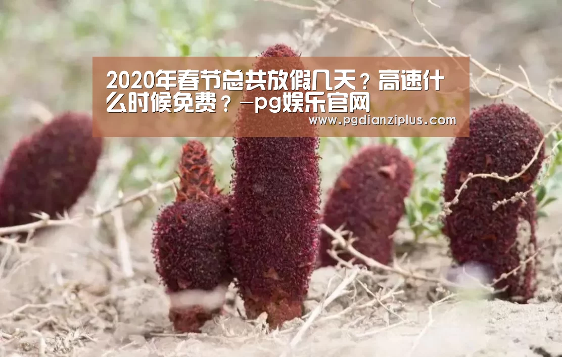 2020年春节总共放假几天?高速什么时候免费?-pg娱乐官网(图1) pg电子