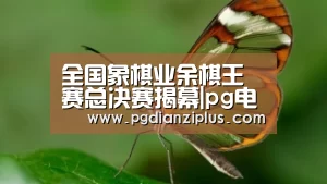 全国象棋业余棋王赛总决赛揭幕|pg电子(图1) pg电子官网
