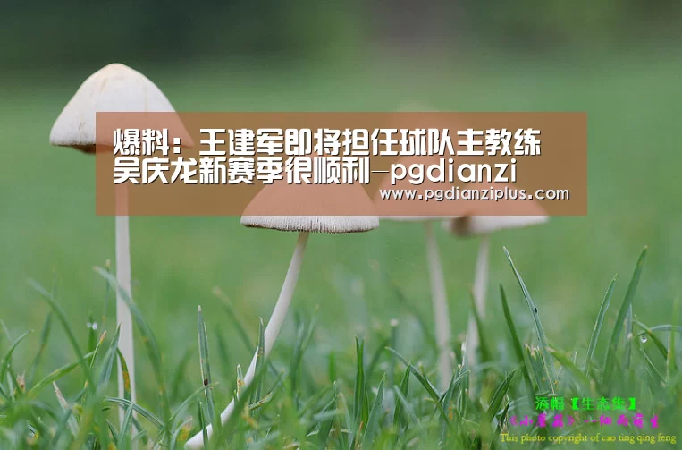 爆料：王建军即将担任球队主教练 吴庆龙新赛季很顺利-pgdi