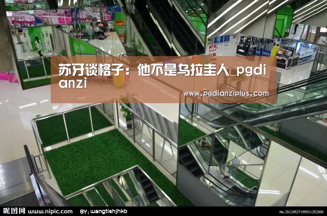 苏牙谈格子：他不是乌拉圭人_pgdianzi(图2)
