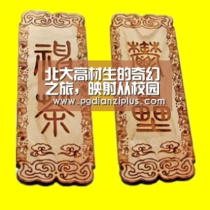 北大高材生的奇幻之旅，映射从校园到CBA的难堪现实-pg电子