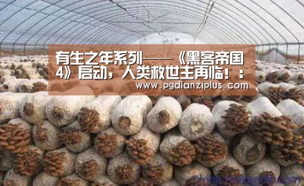 有生之年系列——《黑客帝国4》启动,人类救世主再临!:pg电子(图2) 有生之年系列——《黑客帝国4》启动,人类救世主再临!:pg电子(图2)