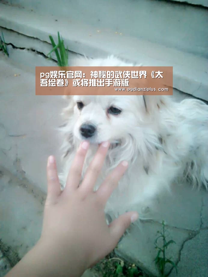 pg娱乐官网